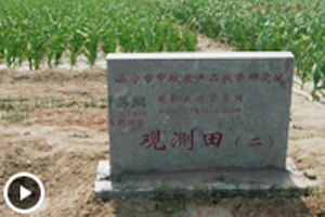 大蒜觀測田苗情長勢監(jiān)測—3月17日 (1703播放)