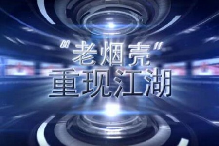 老煙殼重現(xiàn)江湖——縱論大勢，撥開2016大蒜迷霧 (4020播放)