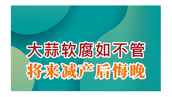 大蒜軟腐如不管，將來減產(chǎn)后悔晚 (730播放)