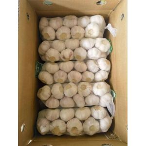 大蒜加工、出口 Garlic exporter